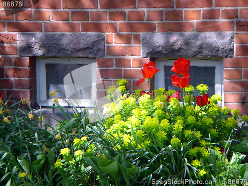 Image of Flowers on a background of a brick wall