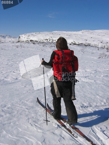 Image of Young girl skiing