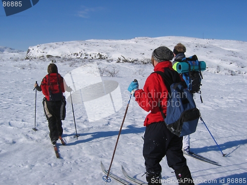 Image of Young persons skiing