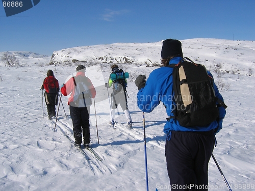 Image of Young persons skiing