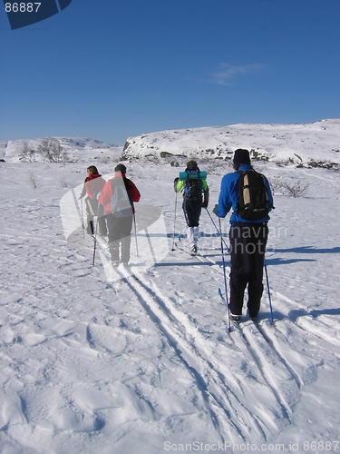 Image of Young persons skiing