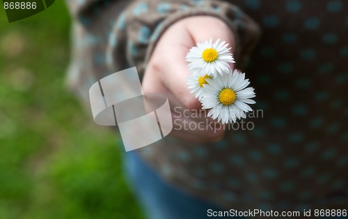 Image of Child with daisy flower