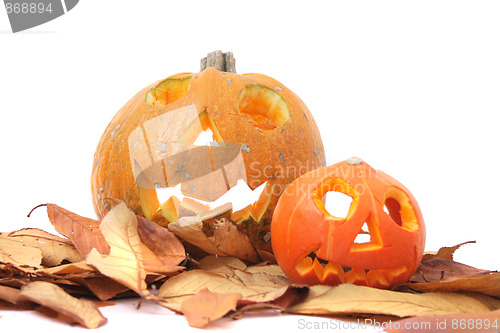 Image of halloween pumkins 