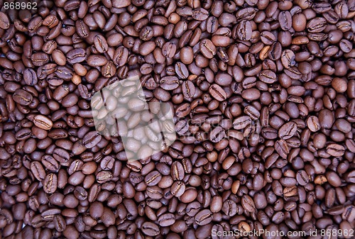 Image of Coffee beans