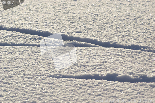 Image of Skitrails