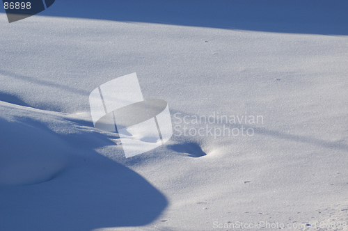 Image of Winter