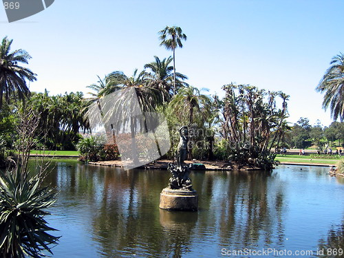 Image of The pond. Sydney. Australia