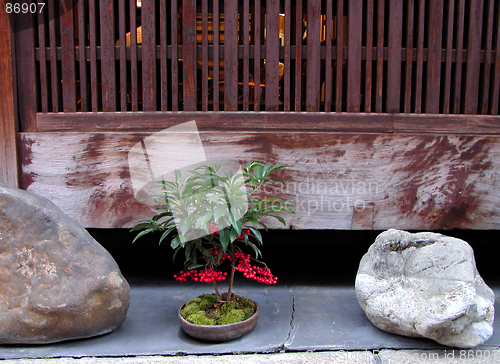 Image of Gion Arrangement