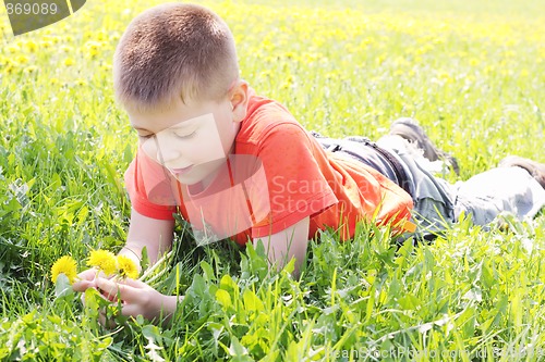 Image of Boy on meadow grass