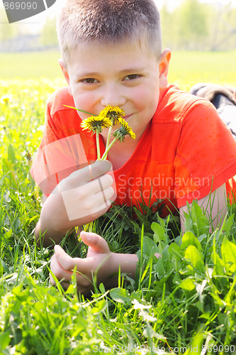 Image of Boy on meadow grass smelling dandelions