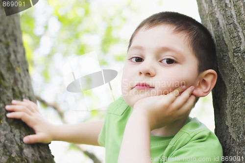 Image of Cute boy between trees