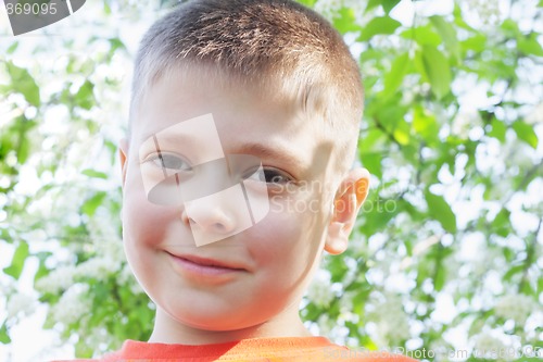 Image of Cute boy under tree