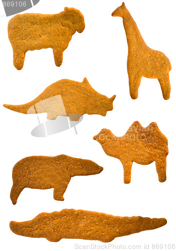 Image of Gingerbread cookies