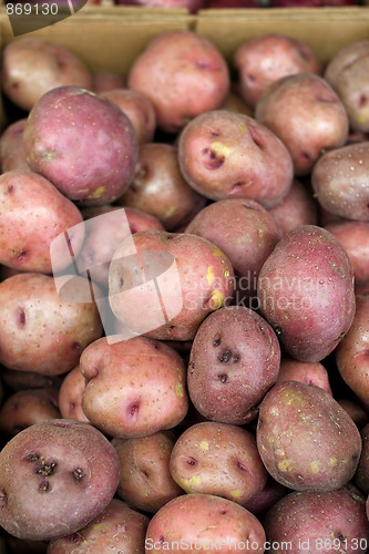 Image of Red Potatoes