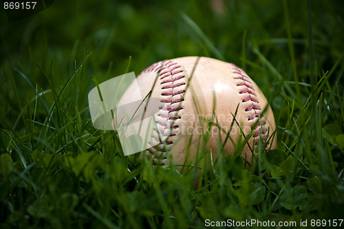 Image of Old Baseball in the Grass