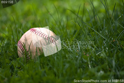 Image of Baseball in the Grass