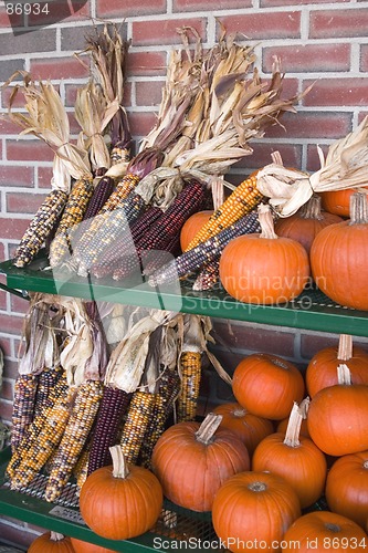 Image of Fall Arrangement. Corn and Pumpkins.