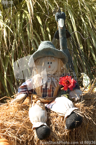 Image of Halloween decoration with scarecrow and bird.