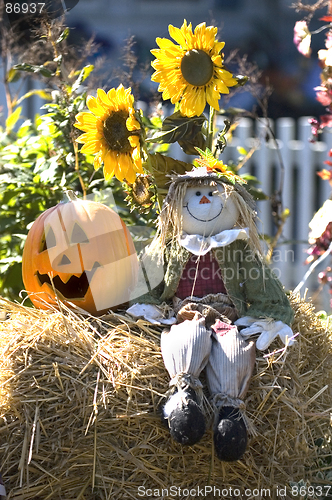 Image of Halloween decoration with scarecrow, pumpkin and sunflowers.