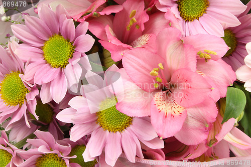 Image of Flowers background