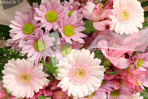 Image of Flowers