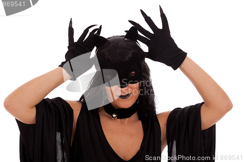 Image of Cat Woman