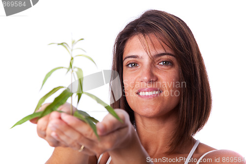 Image of Woman holding a green plant