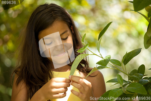 Image of young child enjoying nature