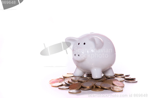 Image of Wealthy piggy bank 