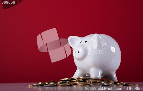 Image of Wealthy piggy bank 