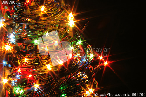 Image of xmas tree