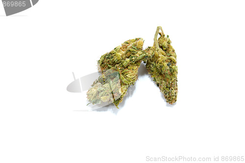 Image of medical marijuana buds