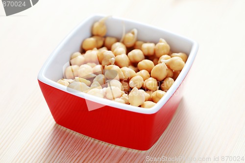 Image of chickpea sprouts