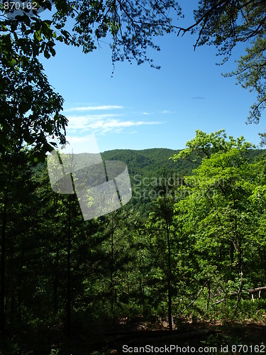 Image of Jacorbs Fork Knob