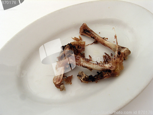 Image of chicken bones