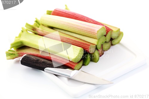 Image of fresh rhubarb