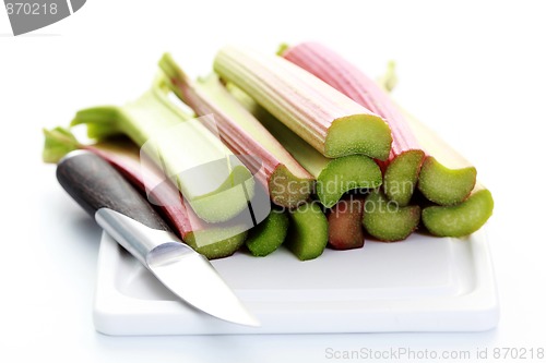 Image of fresh rhubarb