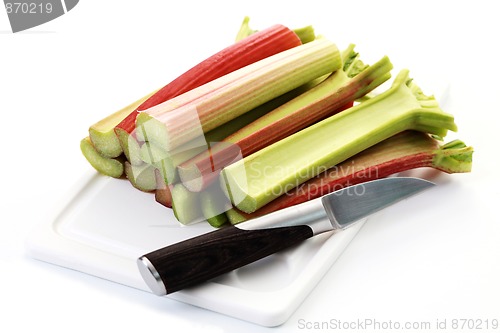 Image of fresh rhubarb