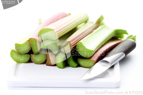 Image of fresh rhubarb