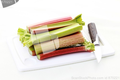 Image of fresh rhubarb