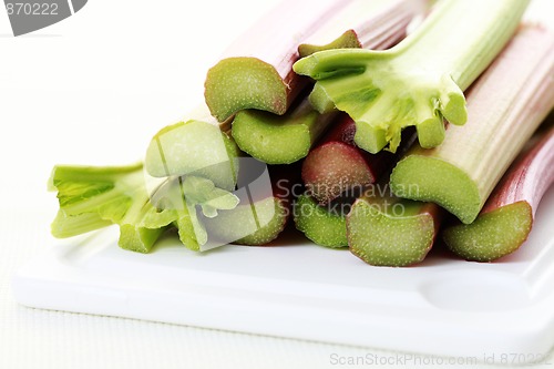 Image of fresh rhubarb