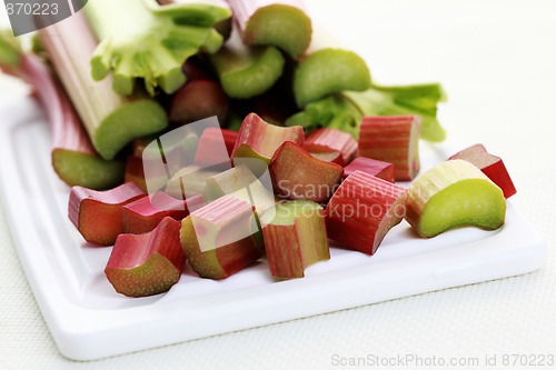 Image of fresh rhubarb