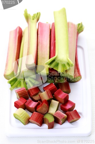 Image of fresh rhubarb