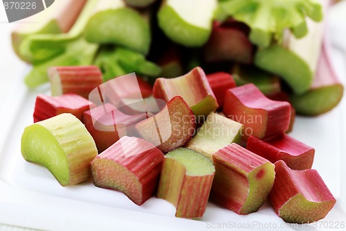 Image of fresh rhubarb