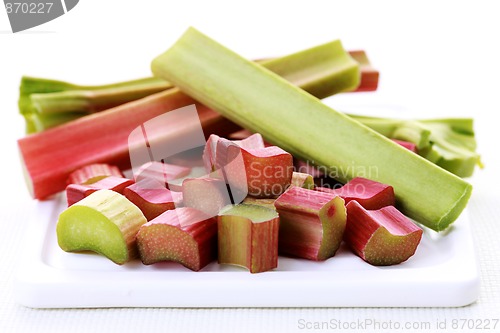 Image of fresh rhubarb