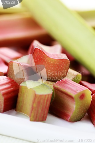 Image of fresh rhubarb