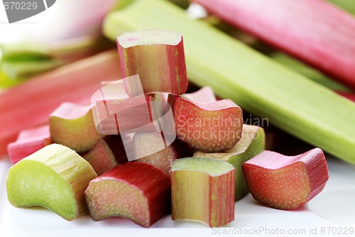 Image of fresh rhubarb