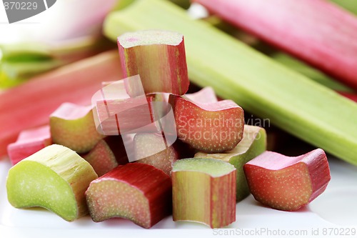 Image of fresh rhubarb