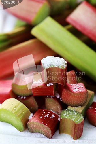 Image of fresh rhubarb