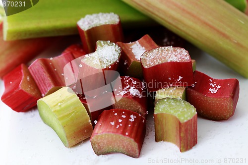 Image of fresh rhubarb